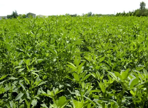 VL_luzerne_portal_luzerne