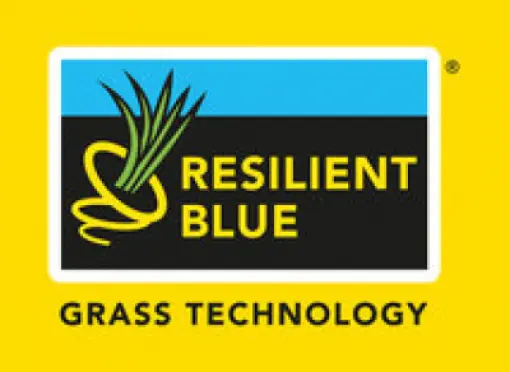 logo-resilient-blue-hr-2024-yellow