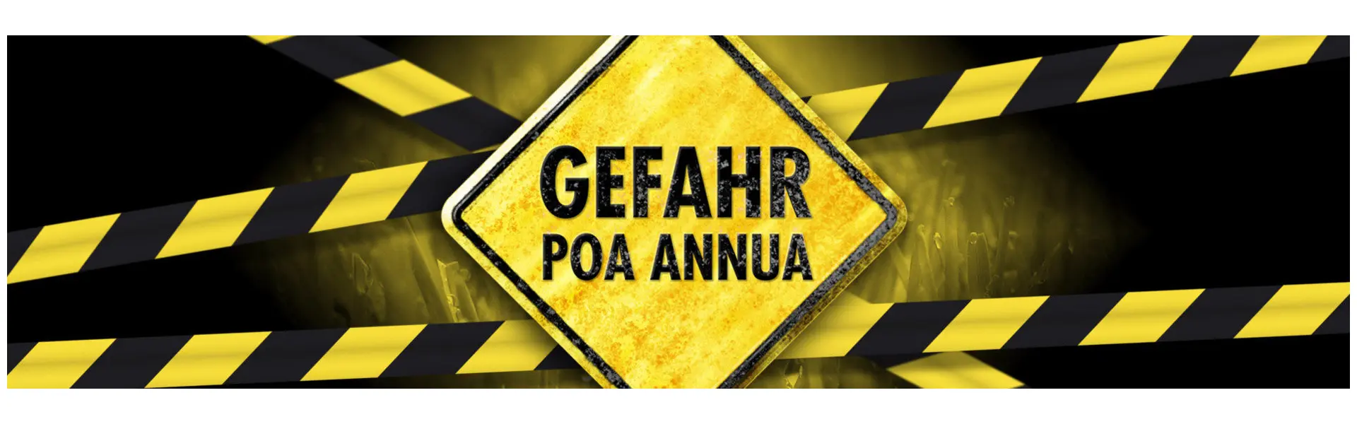 Eine echte Plage auf Golfplätzen