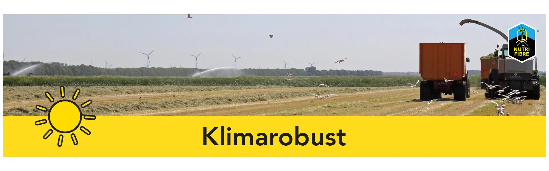 NutriFibre - Klimarobust