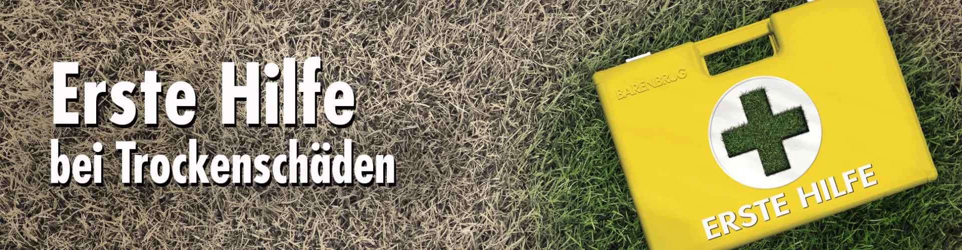 HEADER_Erste-Hilfe_DE-500