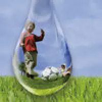 Rohrschwingel verträgt Trockenheit und Hitze problemlos