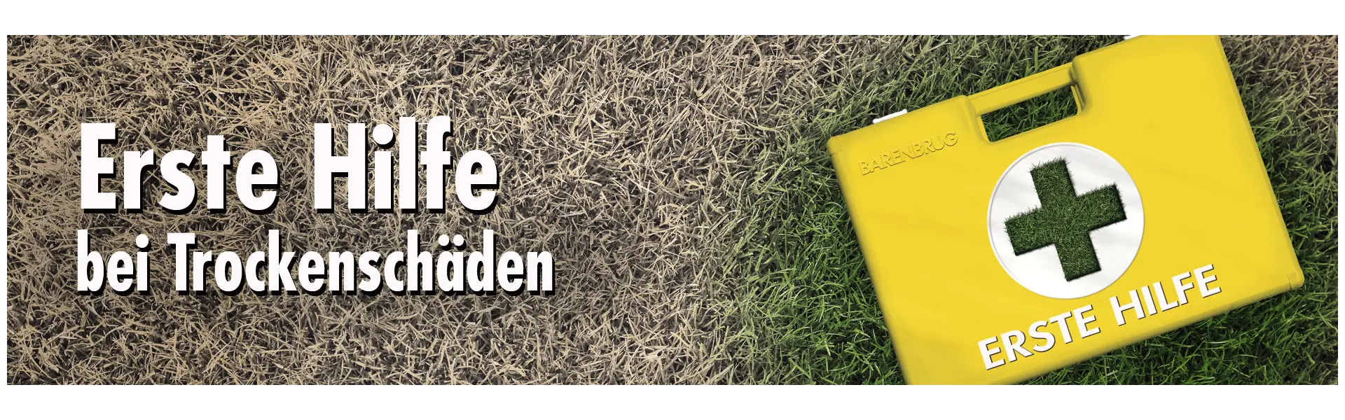 Erste Hilfe bei Trockenschäden