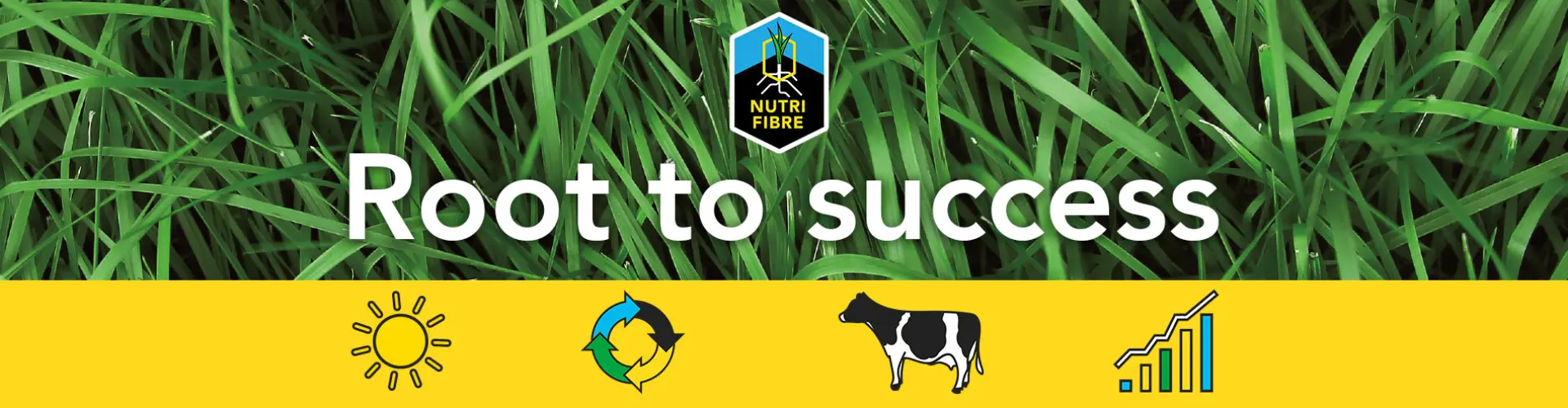 banner_nutrifibre-edit