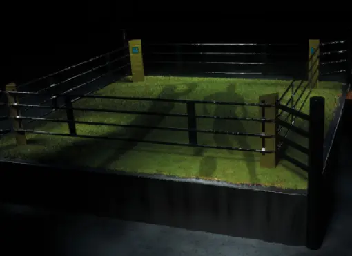 IMAGE-RB-ring-visual