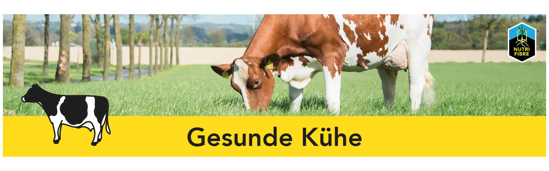 NutriFibre - Gesunde Kühe
