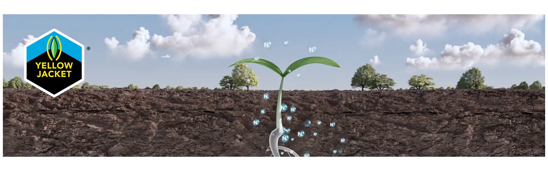 Die 6 nachgewiesenen Vorteile von Yellow Jacket Nitrogenerator