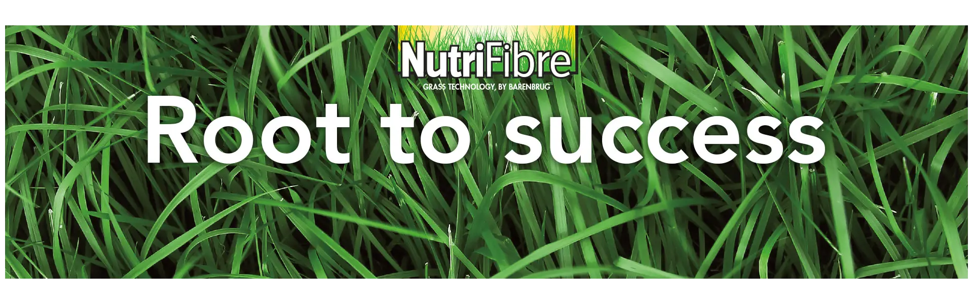 NutriFibre - Root to success