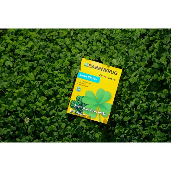 Lawn Clover 5