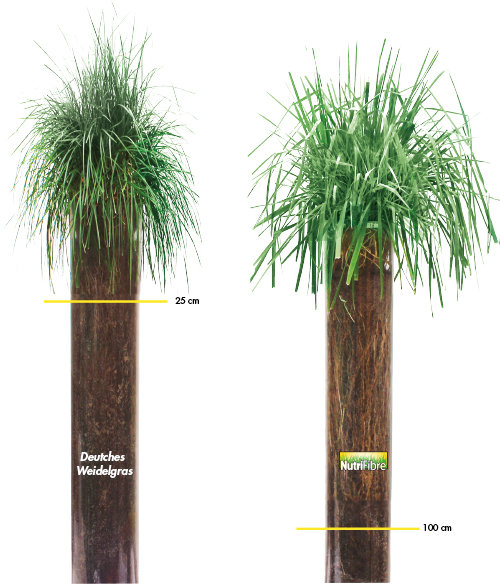 gras_engels_nutrifibre_DE.jpg