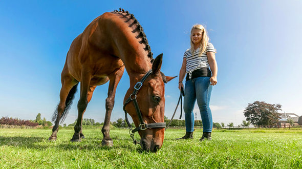 LI_Horse-and-girl.jpg