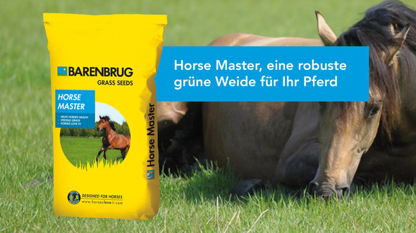 Link-item_HorseMaster_DE.jpg