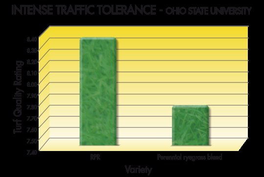 Extreme trittfestigkeit